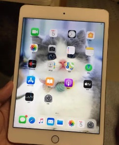 ipad mini4 128g 转让